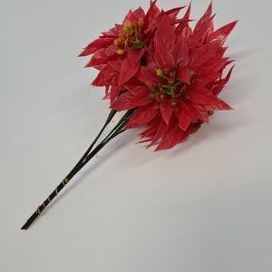 Poinsettia Bundle