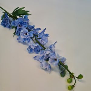 Delphinium Blue
