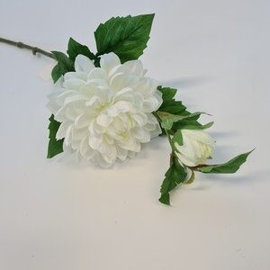 Tintagel Spray Dahlia White