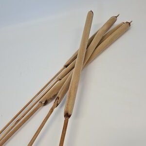 Bullrush Natural