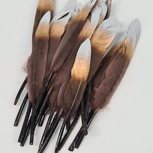 Mini Brown Goose Feathers Silver/Gold