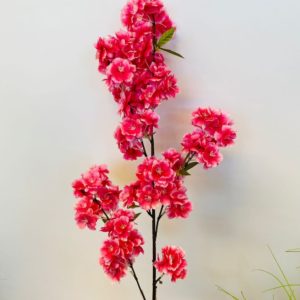 Blossom Cerise