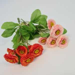 Bellis Bundle