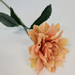 Dahlia Yellow
