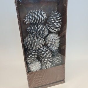 Box of Silver Pinecones