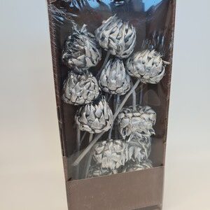 Box of Artichoke Silver