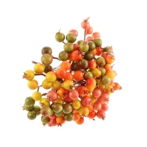 Autumn Berry Bundle 16cm