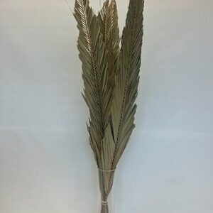 PALM LEAF 1.2M NATURAL