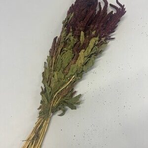 DRIED AMARANTHUS RED