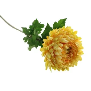 CHRYSANTHEMUM YELLOW