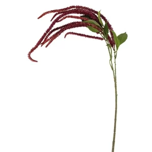 AMARANTHUS TRALING SPRAY BURGANDY