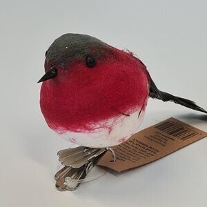 Robin on Clip