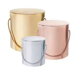 Hamilton Hat Box Metallic Set of 3