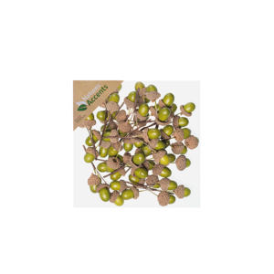 Acorn in box Green